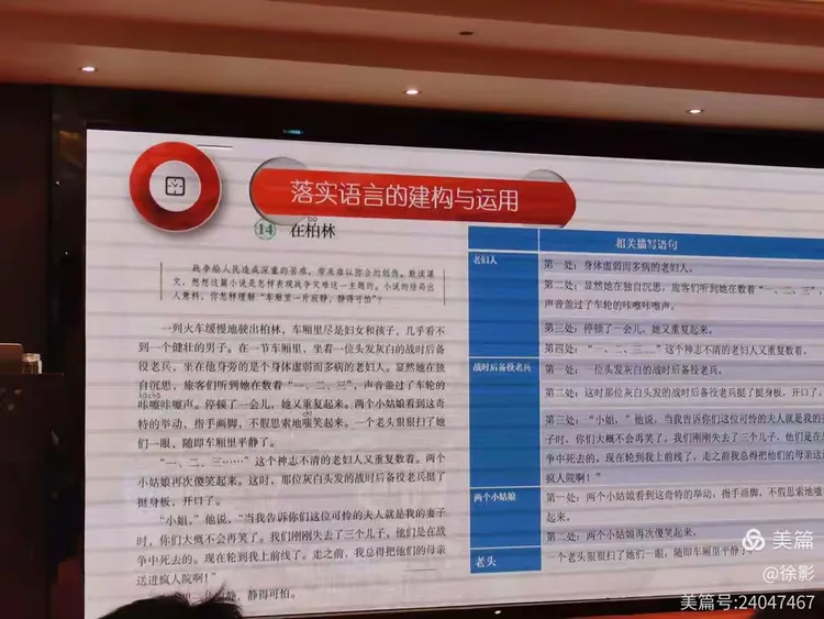 龙狗牛前好风光，牛羊猴鼠牛见树打一正确生肖警惕虚假宣传、全面解答与解释、实时解答解释落实